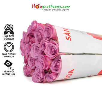 Hoa Hồng Tím Cà Hoayeuthuong - hoa tươi Đà Lạt trang trí nhà cửa, văn phòng