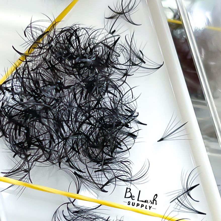 Mi Fan Sẵn Katun 7D Siêu Đẹp Giá Rẻ _ Mi Wispy Xuất Khẩu - Huy Hoàng Mi