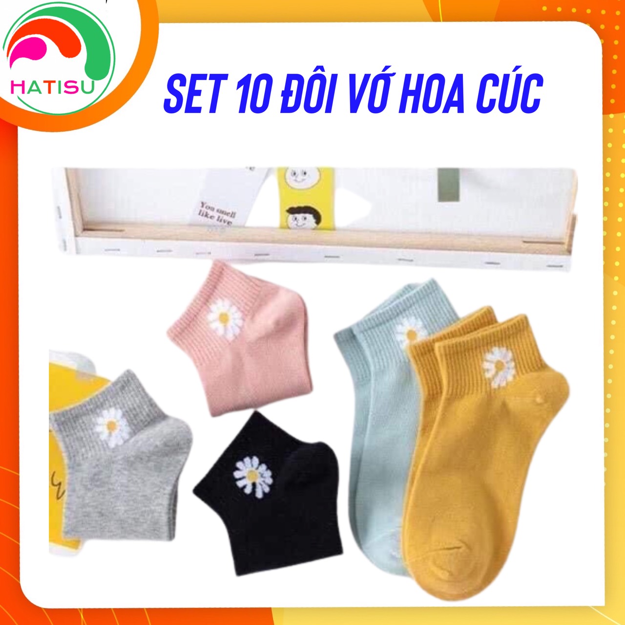 Combo 10 đôi vớ hoa cúc hatisu