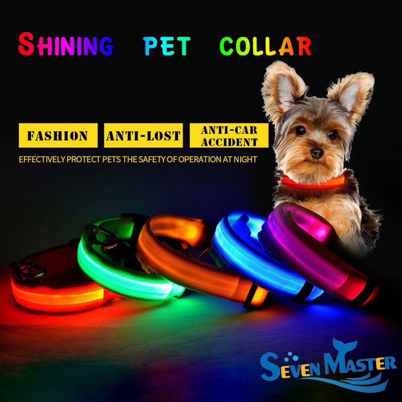 led flashing collar