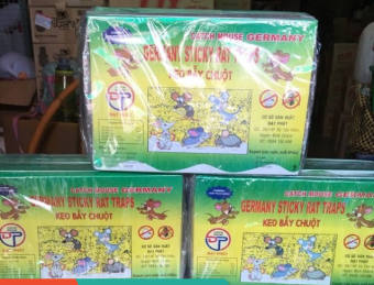 Keo dính chuột Siêu Dính (có mồi) | Miếng keo dán chuột | Miếng bẫy chuột