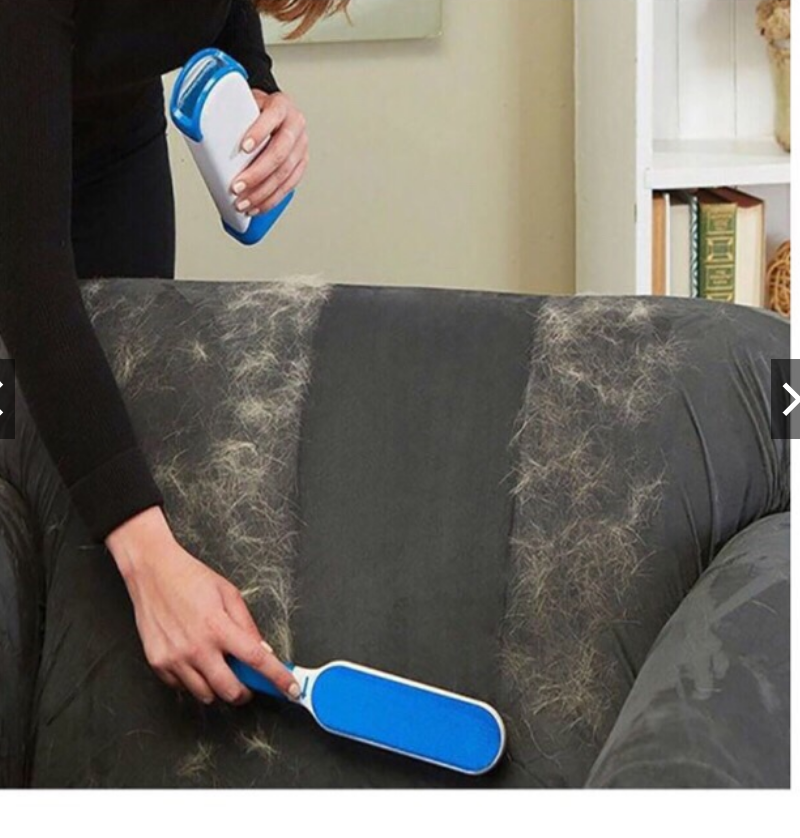 Dụng Cụ Chải Lấy Lông Chó Mèo dính trên ghế sopha, Quần áo