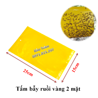 Set 5 miếng dán bẫy côn trùng, ruồi vàng kích thước 15cmx25cm