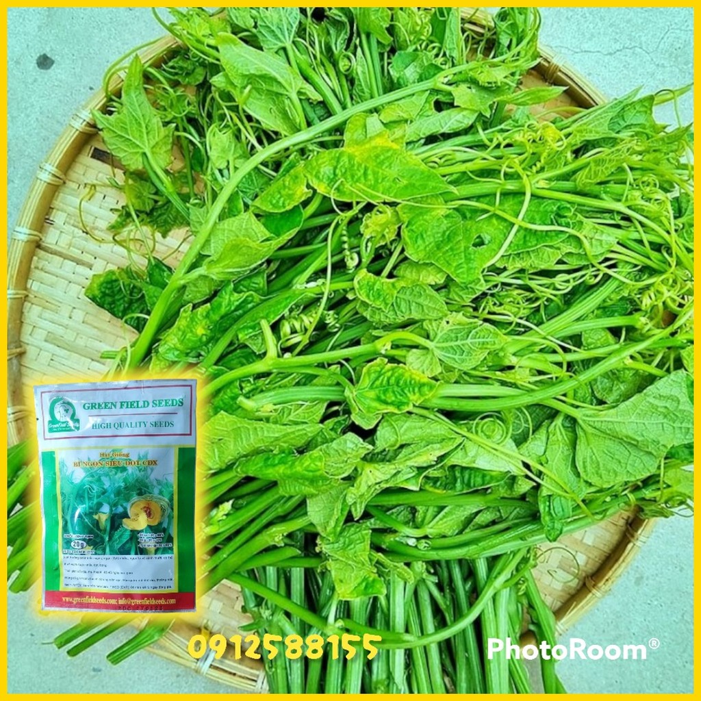 Hạt giống bí ngon siêu đọt cđx, gói 20g.