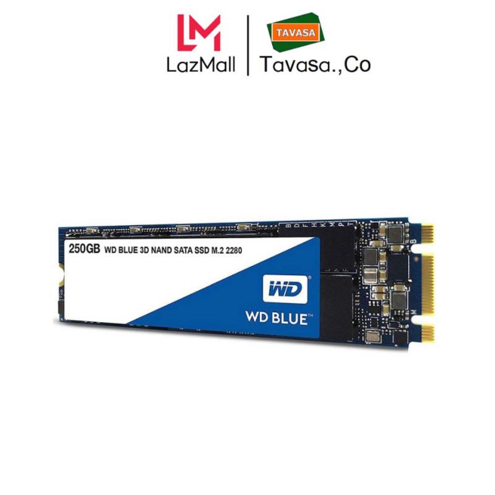 Ổ cứng SSD western Digital SSD WD Blue 3D-NAND M.2 2280 SATA III 250GB WDS250G2B0B