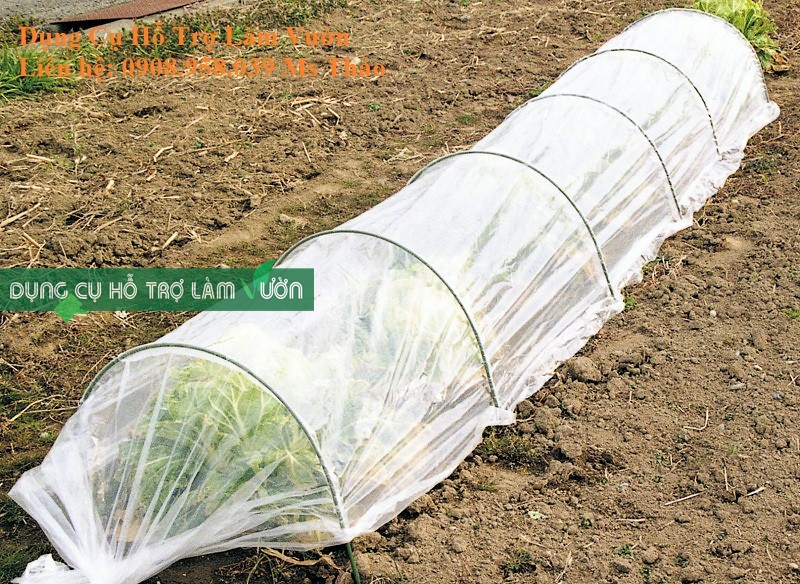 Màng nylon 2 met dài 10 met phủ màng trồng rau ăn lá làm nhà kính mini nhà màng