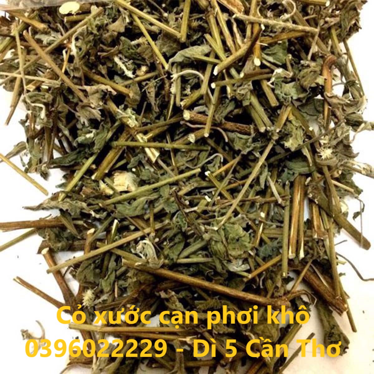 Cây cỏ xước cạn phơi khô 1 ký - Hàng khô sạch bụi bậm