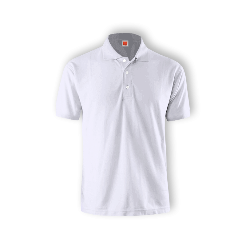 white t shirt black collar