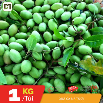 1KG trái cà na tươi tự làm món cà na đập ngon mê ly