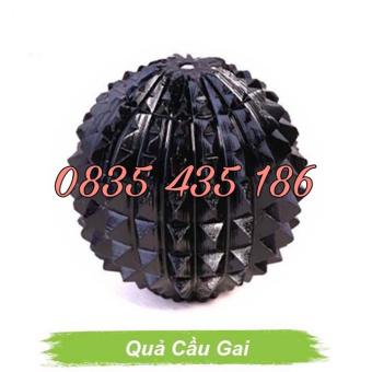 BỘ DỤNG CỤ DIỆN CHẨN CƠ BẢN 9 MÓN