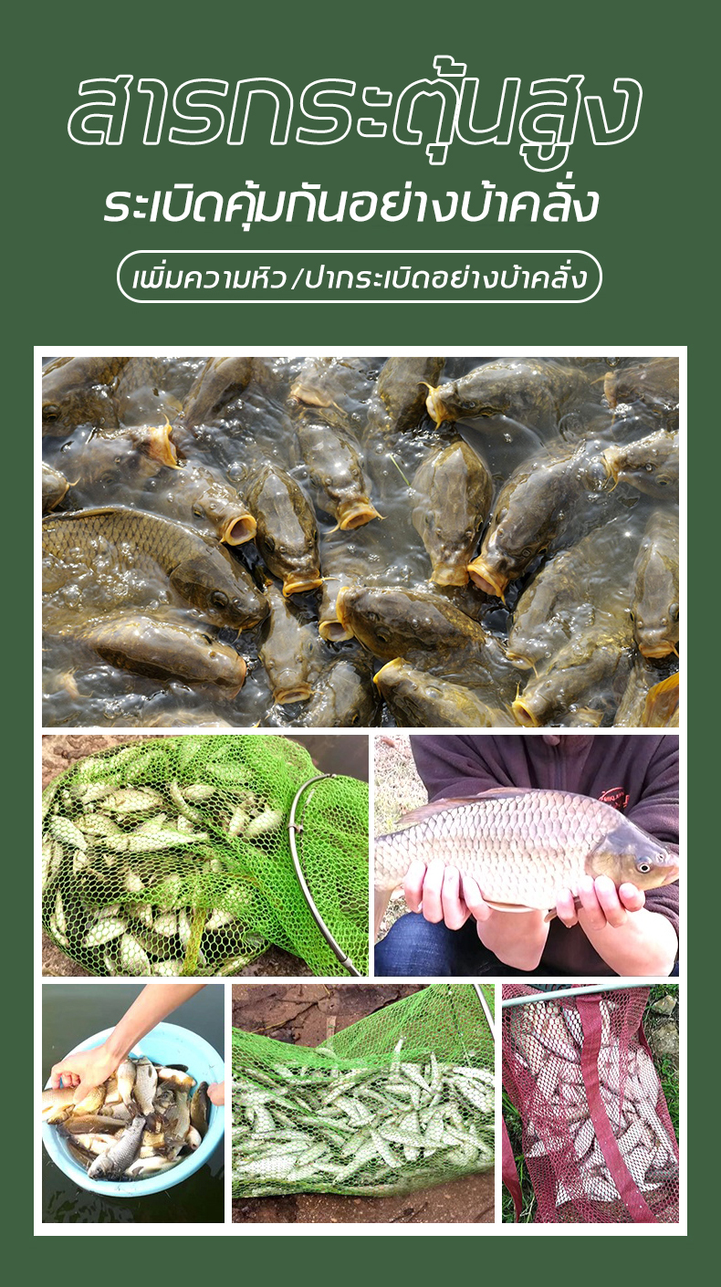 มุมมองเพิ่มเติมของสินค้า (Thai พร้อมส่ง) DMPT อาหารตกปลา ช่วยกระตุ้นให้ปลากิน ใช้ได้กับเหยื่อทุกชนิด หัวเชื้อตกปลา เหยื่อตกปลา เหยื่อตกปลา รวม หัวเชื้อตกปลาสวาย สารเร่งปลากินเหยื่อ หัวเชื้อเหยื่อตกปลา เหยื่อปลานิล ฟีโรโมนตกปลา หัวเชื้อสวาย ผงดึงดูดปลา ไผ่เขียวตกปลา