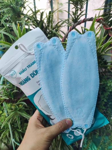 Thùng 300 cái khẩu trang 4D KF94 Hoàng Dũng mask