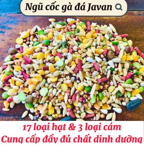 Cám đỏ đạm cho gà đá, thức ăn bổ sung đạm cho chiến kê