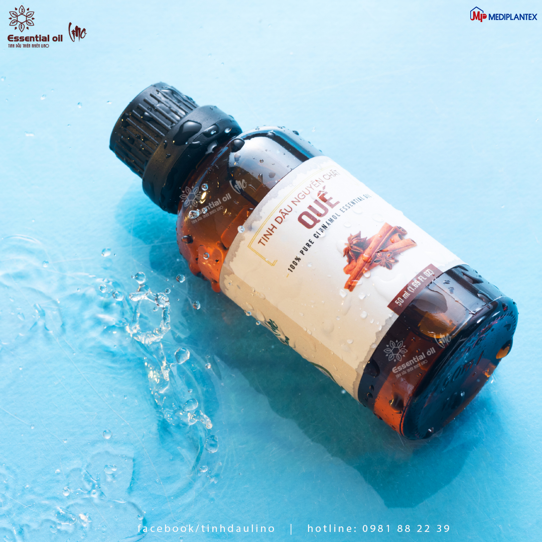 Tinh dầu quế LINO 50ml, tinh dầu thơm phòng, tinh dầu thiên nhiên nguyên chất từ công ty dược Mediplantex