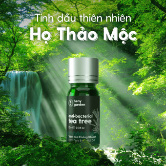 Tinh Dầu Thiên Nhiên Họ Thảo Mộc Làm Nến Thơm Xông Thơm Phòng Kèm Video Hướng Dẫn Làm Nến Thơm - Có Kiểm Định Chất Lượng QUATEST 3 - Nguyên Liệu Làm Nến Thơm Dụng Cụ Làm Nến Sáp Làm Nến Heny Garden
