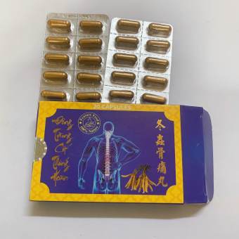 ĐÔNG TRÙNG CỐT THỐNG HOÀN 20V ( VỈ) – HỖ TRỢ XƯƠNG KHỚP