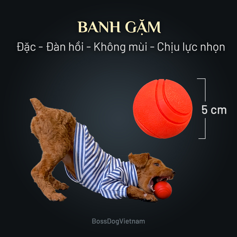 [HCM]Bóng đồ chơi cho chó cao su đúc đặc TOF BossDog