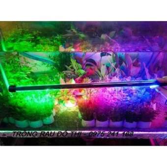 Đèn led bể cá Caibao T4-60LED (dùng cho bể 60-80cm)