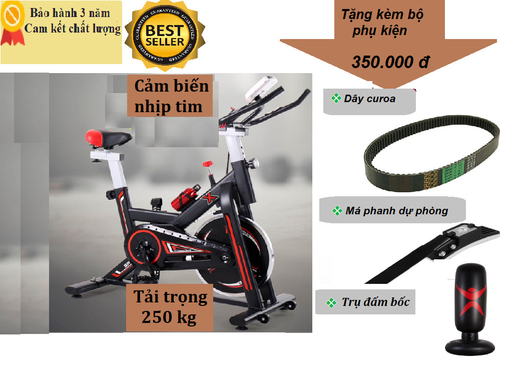Xe đạp tập gym tại nhà Toshika X8 màu đen đỏ kiểu dáng thể thao Tặng kèm Má Phanh + Dây Curoa + Trụ Đấm Bốc