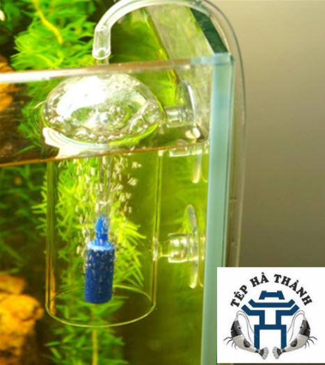Cốc Sủi Oxy Chống Văng Nước Cho Bể Cá Cảnh Bể Thủy Sinh
