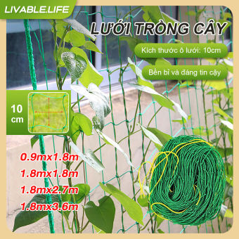 Lưới làm giàn cây leo Lưới trồng cây Lưới giàn Lưới Lưới làm giàn cho trồng cây dây leo,bí, mướp, đỗ, hoa leo tiện lợi