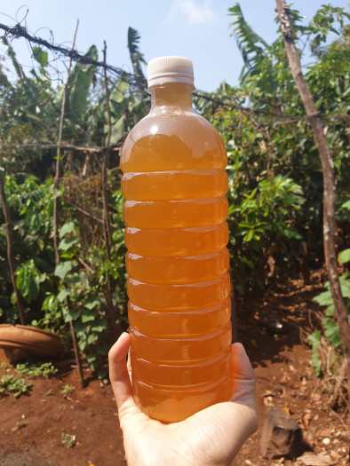 1 lít Mật Ong Hoa Cà Phê Nguyên Chất Đăk Lăk giá sỉ