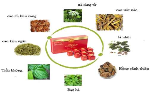 GYNO GOLD- VIÊN NGÂM RỬA VÀ ĐẶT PHỤ KHOA. SP CỦA ĐỀ ÁN 818 TỔNG CỤC DÂN SỐ