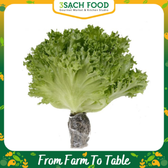 Xà Lách Thủy Tinh Thủy Canh - 250g/khay