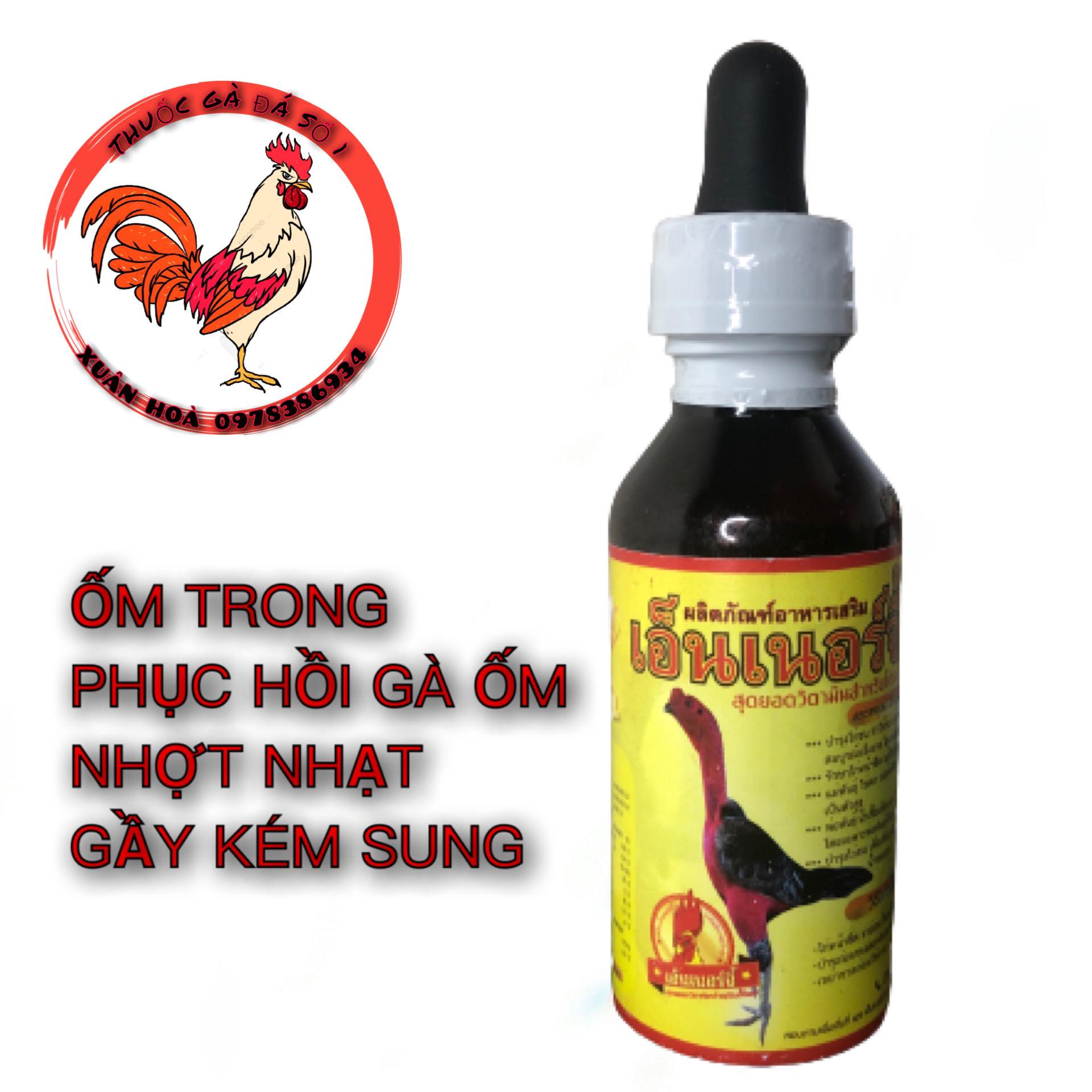 Phục Hồi Ốm Trong cho Gà nhỏ 1 tuần khỏe như trâu