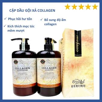 Cặp dầu gội và dầu xả collagen ngăn ngừa rụng tóc - combo dầu gội và dầu xả collagen phục hồi hư tổn
