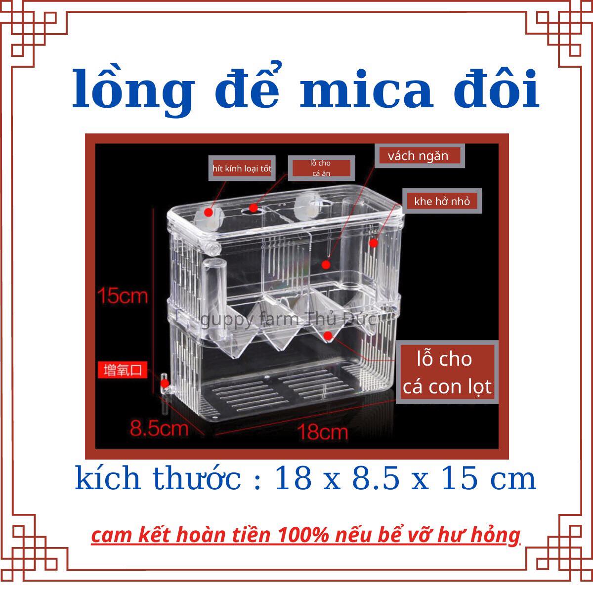 Lồng đẻ 2 ngăn dành cho cá 7 màu