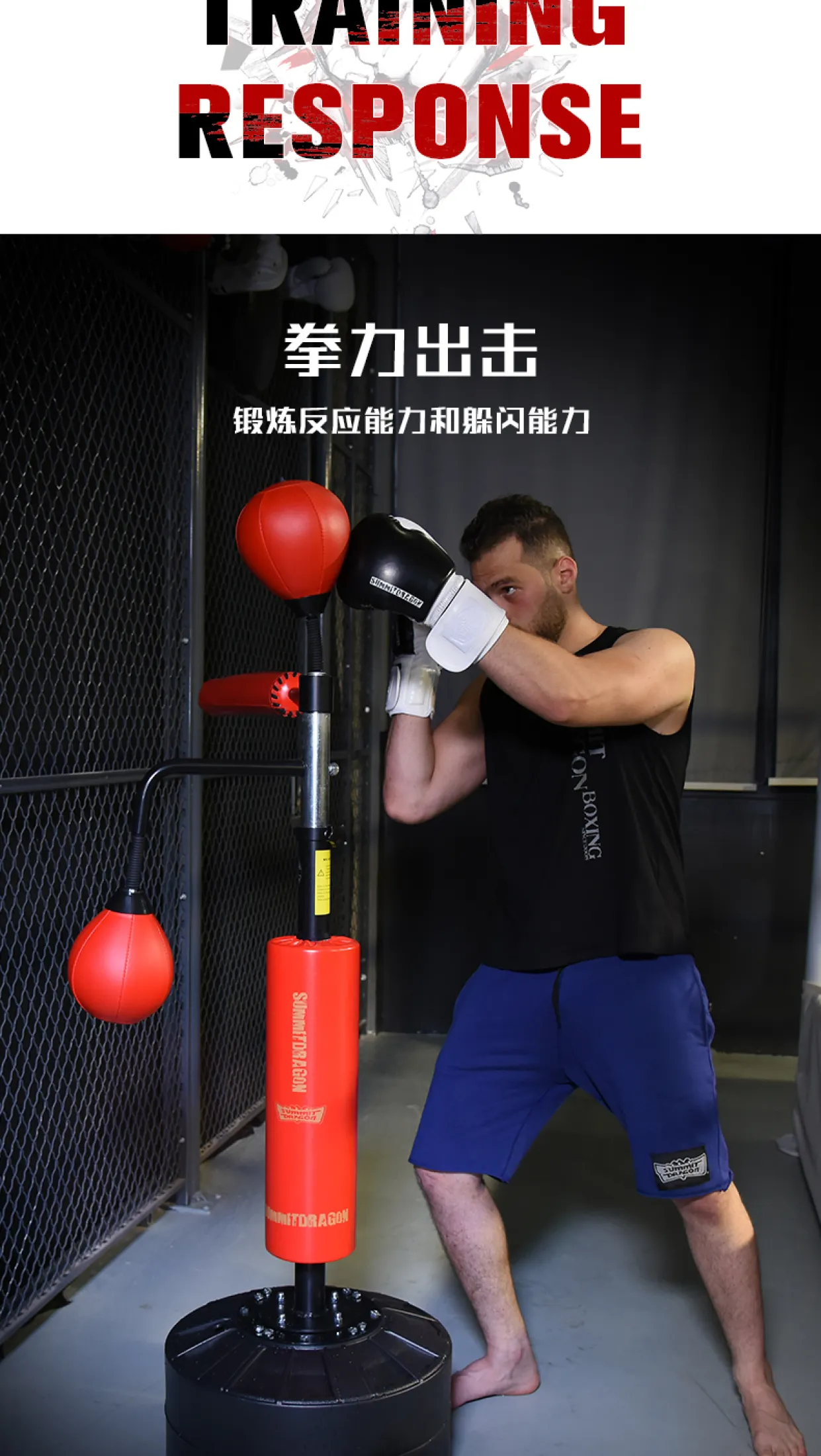 boxing dodging equipment