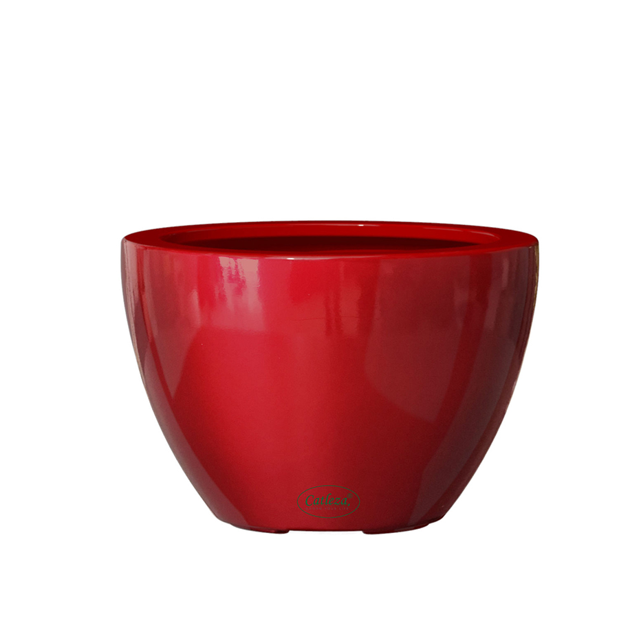 Chậu Nhựa Trồng Cây Thông Minh CATLEZA Sơn Tròn Bầu STB1