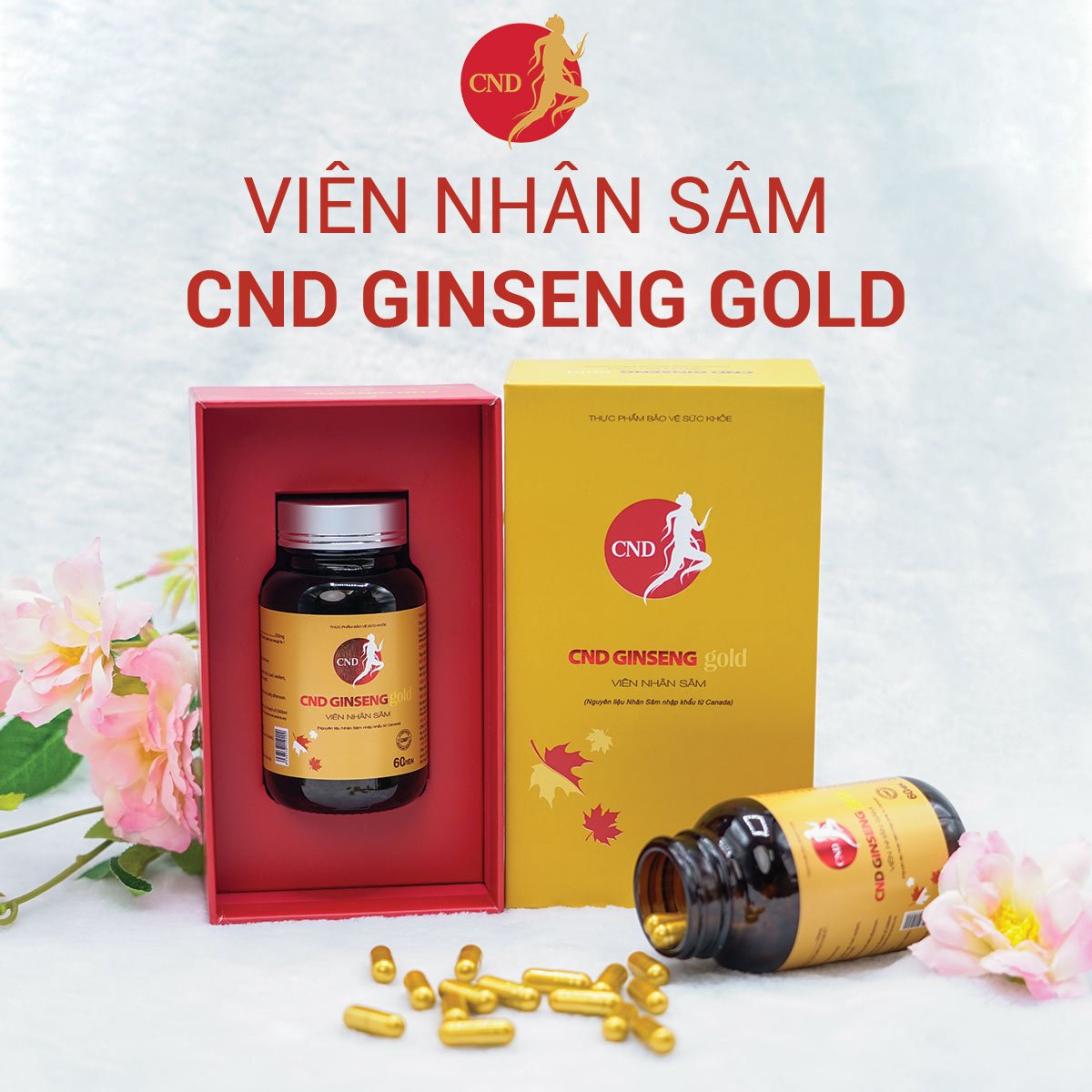 Viên nang nhân sâm cnd ginseng gold - hộp 60 viên 500mg