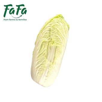 Cải thảo FAFA 400-500gr/bắp