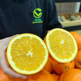 VG FARM Cam Vàng Nam Phi (500G/1KG) - ngon ngọt, mềm tay tý tý