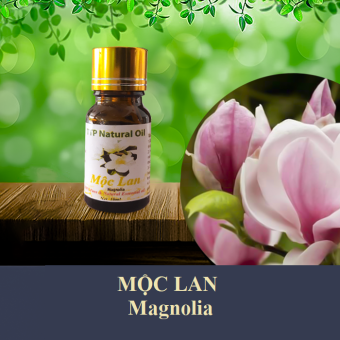 Tinh dầu hoa Mộc Lan Magnilia - 10ml