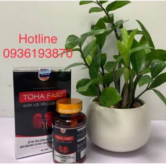 TOHA FAST - Hộp 60 viên