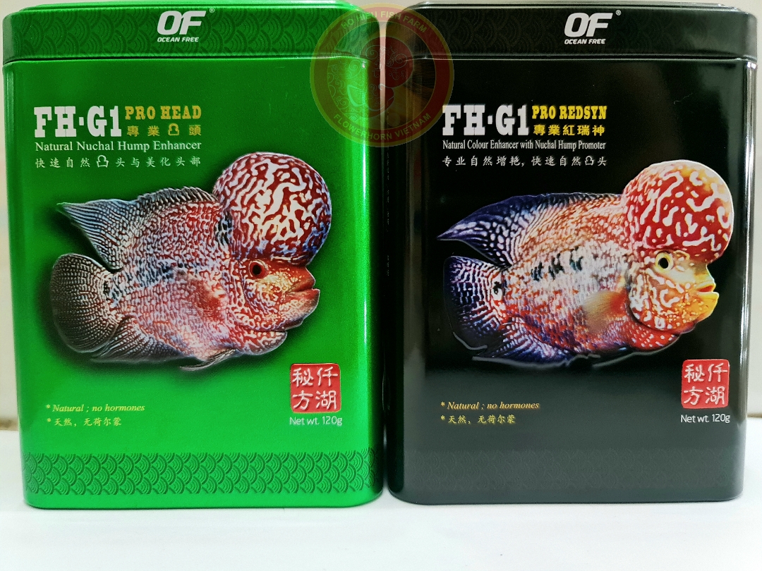 Thức ăn cho cá la hán. fh-g1 pro head-pro redsyn tăng đầu lên màu cao cấp. hàng singapore