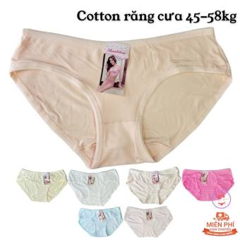 Quần lót cotton lưng vừa răng cưa size 53-60kg set 10 cái MS88651