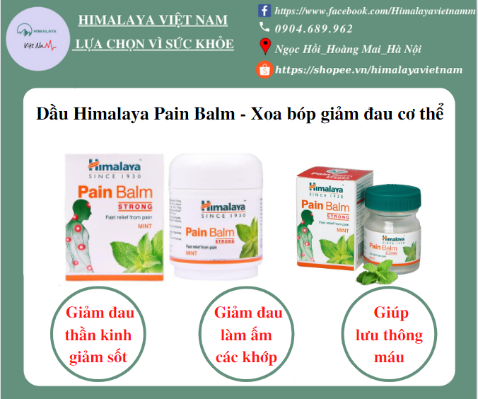Dầu Xoa bóp giảm đau cơ thể - Himalaya Pain Balm