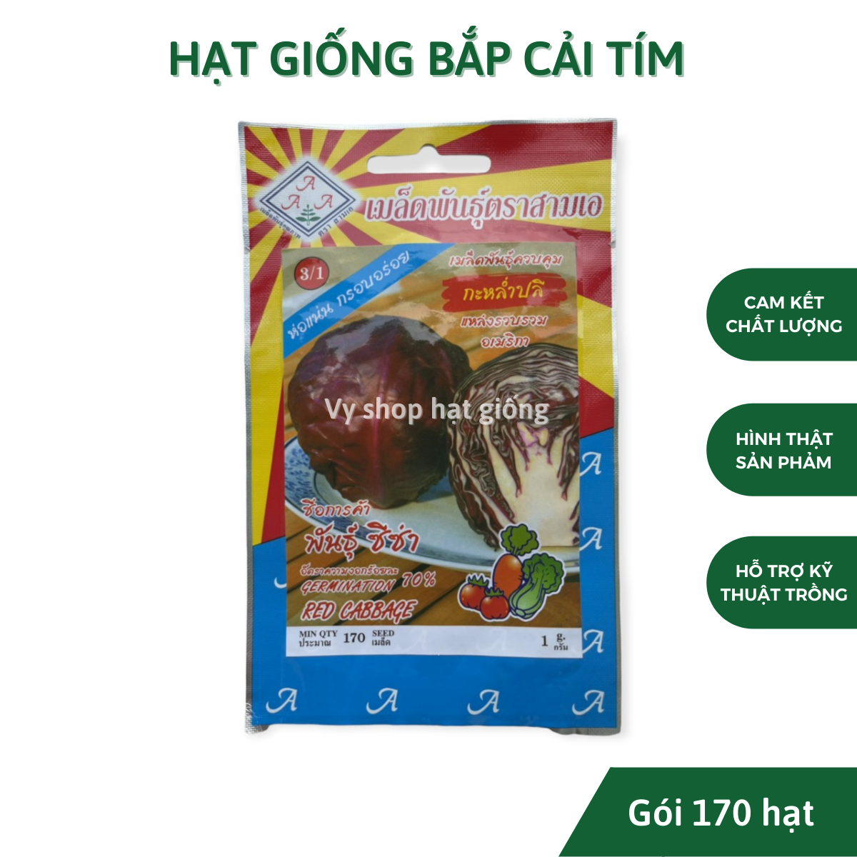 Hạt giống cải bắp tím Thái Lan