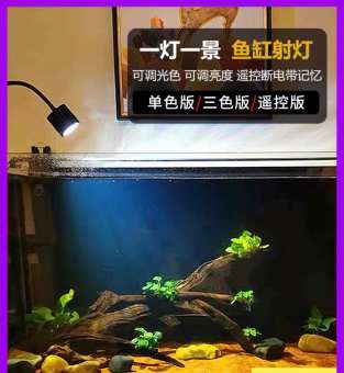 Đèn led rọi thủy sinh BIOTOP SD300 đổi màu 3 chế độ kẹp thành hồ cá SD-300 5W 7W