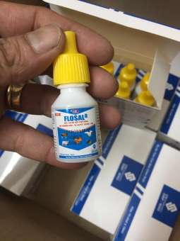 Combo 5 Chai Vitamins Cho Gà FLOSAL-D