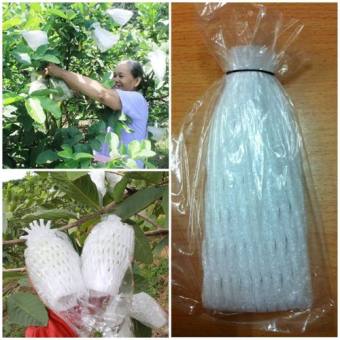 1KG Túi Xốp Bọc ổi đã lồng thun hàng dày