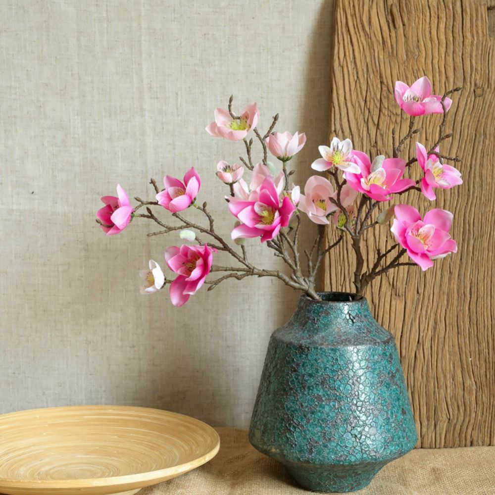 magnolia flowers - best price in singapore - aug 2023 | lazada.sg