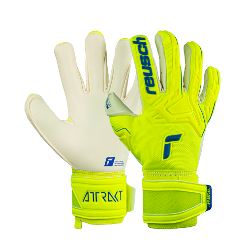 Găng Tay thủ môn Reusch Freegel Gold X