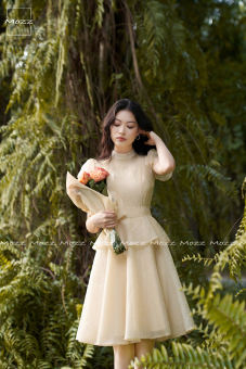 Váy tafta gấm Mozz, váy đi tiệc