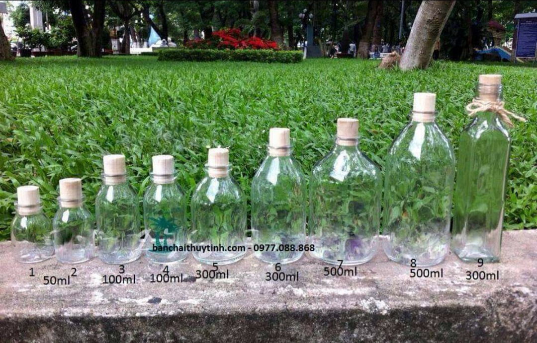 Combo 5, 9,10 lọ thủy tinh trang trí 50ml 100ml 300ml 500ml nút gỗ