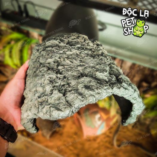 HANG TRÚ CHO BÒ SÁT, THÚ CƯNG NHỎ CÁ CẢNH, DECOR HỒ CÁ